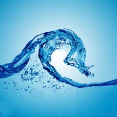 Consumi idrici, l’emorragia di acqua e i biologi italiani