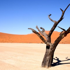 La crisi ambientale causa migrazioni di massa in tutto il mondo