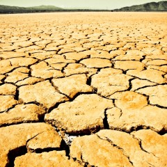 [:en]No water: life in California’s drought valley[:]