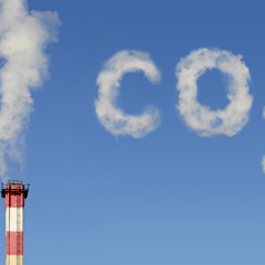 Clima, livelli record di anidride carbonica nel 2015: “E’ iniziata una nuova era”