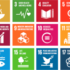 The sustainable development agenda: goal 16
