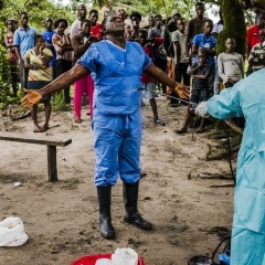 La deforestazione in Africa ha favorito il rischio Ebola