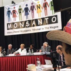 L’opinione legale del Tribunale Monsanto rilancia l’azione globale dei movimenti