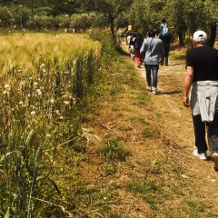 Riparte il contratto di fiume Feltrino al Centro Documentazione Conflitti Ambientali Abruzzo