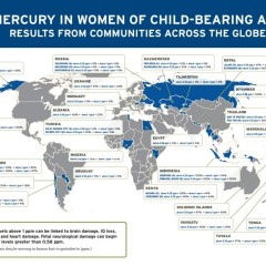 Pericolosi livelli di mercurio nelle giovani donne in età fertile di tutto il mondo