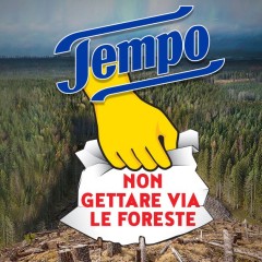 La foresta boreale si sta esaurendo per colpa dei fazzoletti