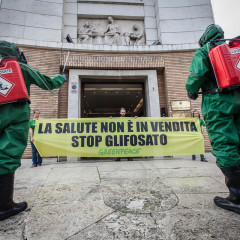 Ancora 5 anni di glifosato. La Commissione europea spiega perché