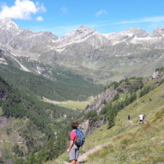 Il difficile rapporto fra uomo e natura