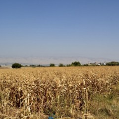 L’acqua come arma nella valle del Giordano