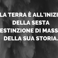 Un milione di specie a rischio